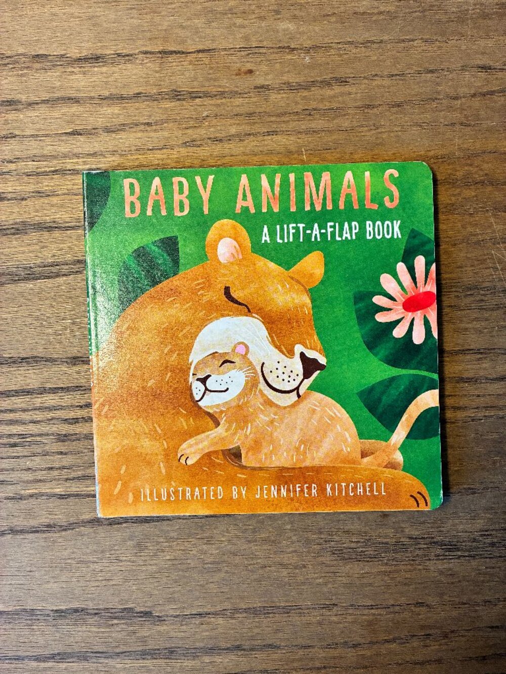 Baby Animals (A Lift-A-Flap Book); Illustrated by Jennifer Kitchell;